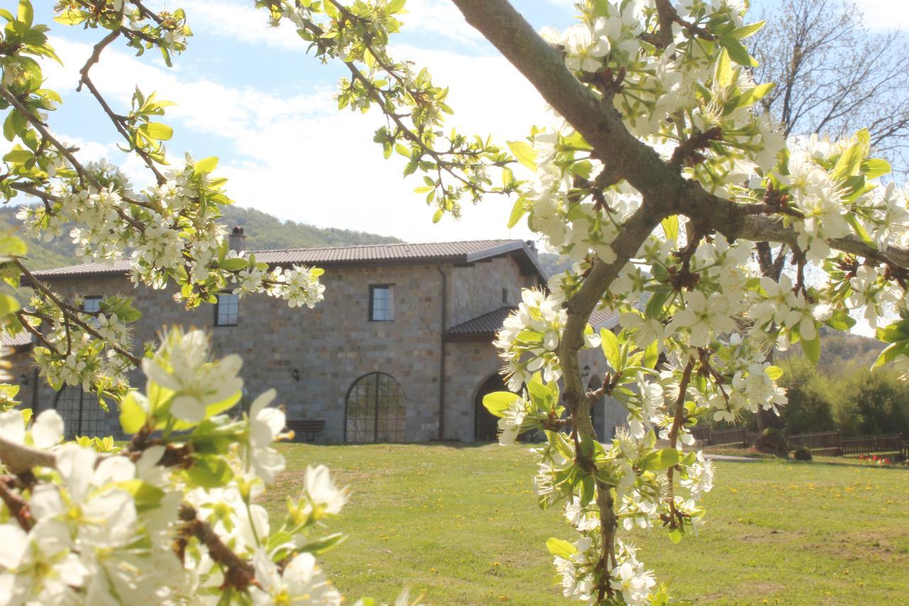 Villa Lavanda 엘레나 외부 사진